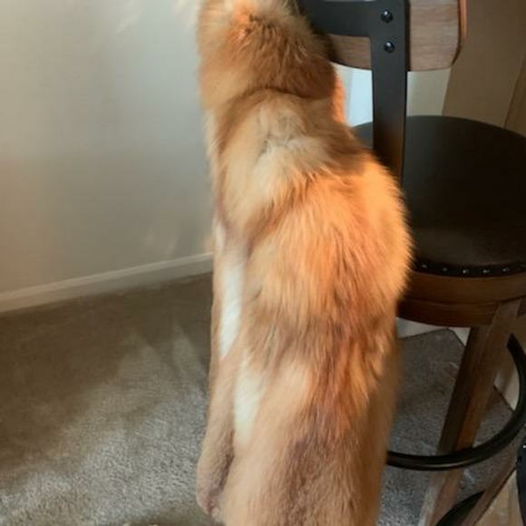 Vintage REAL red fox fur jacket - Picture 4 of 6